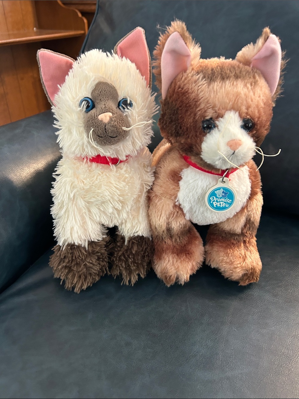 Build-A-Bear Cat Lot